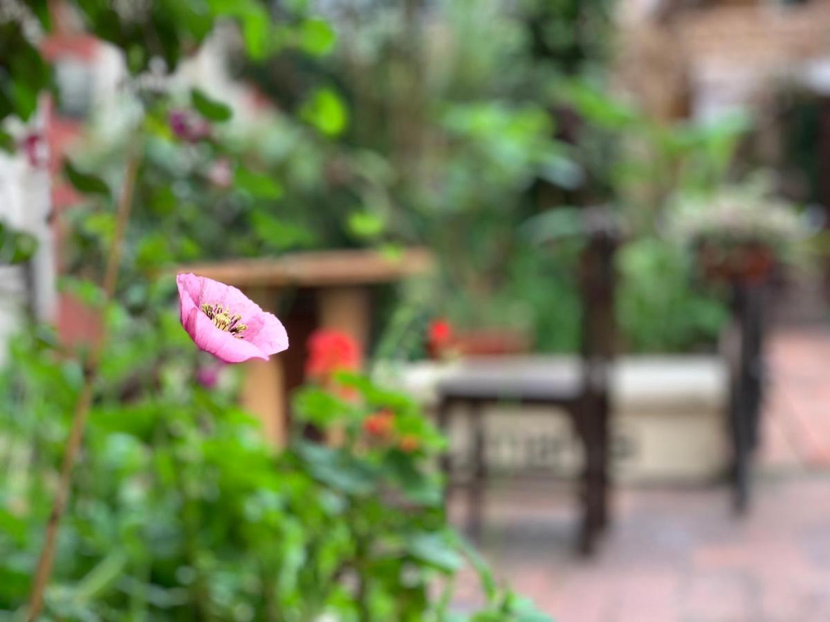 Hostal Yakumama Cuenca Exteriör bild