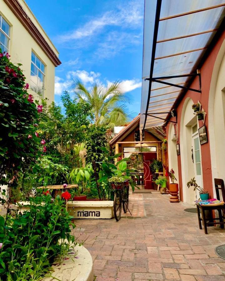 Hostal Yakumama Cuenca Exteriör bild